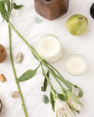 Nautana Sustenance Pear Jasmine & Sandlewood Coco Soy Candle