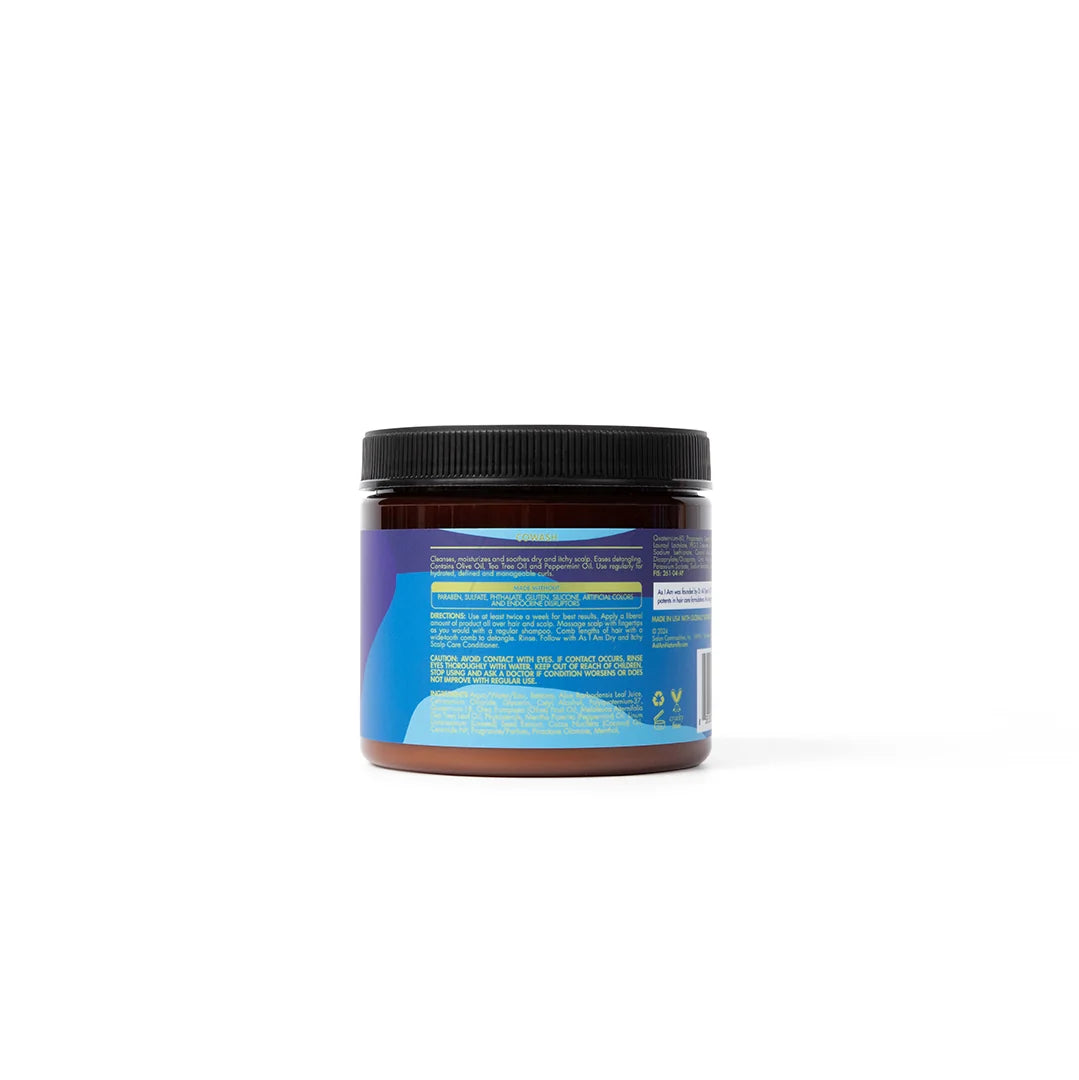 As I Am Dry & Itchy Scalp Care Dandruff CoWash